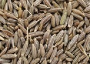 CUMIN SEEDS