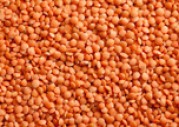 RED LENTILS