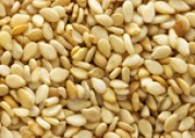 SESAME SEEDS