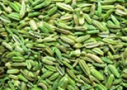 FENNEL SEED